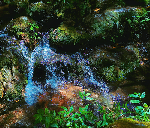 PP电子(中国集团)有限公司官网